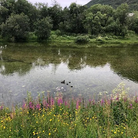 Large House With Spectacular View