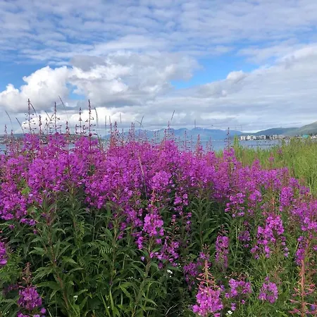 Σπίτι διακοπών Large House With Spectacular View *